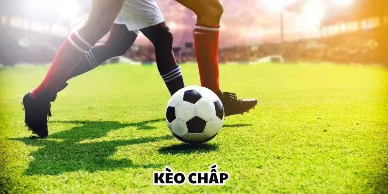 Handicap - hình thức cá độ làm cân bằng giữa hai đội tuyển Handicap - hình thức cá độ làm cân bằng giữa hai đội tuyển