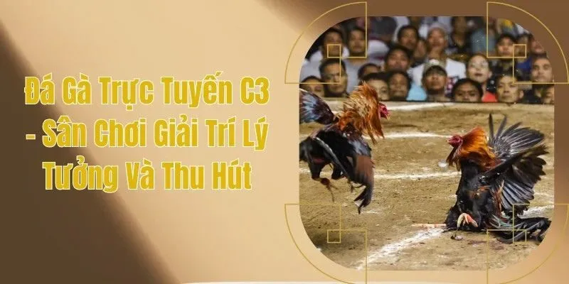 đá gà trực tuyến C3