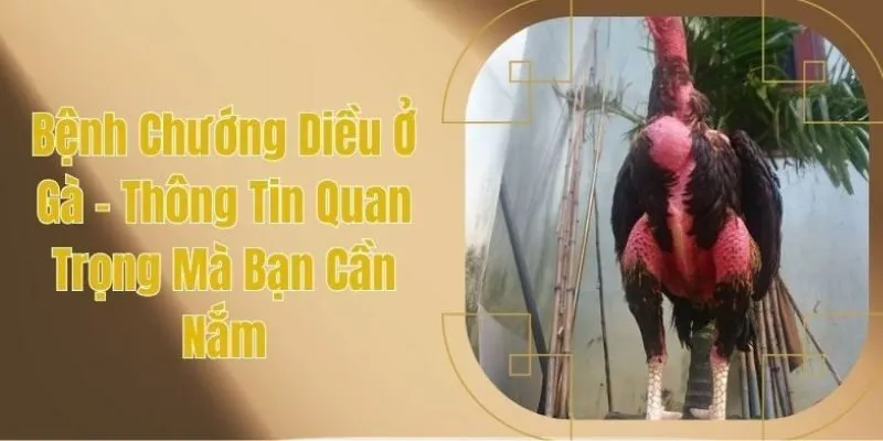 Bệnh chướng diều ở gà