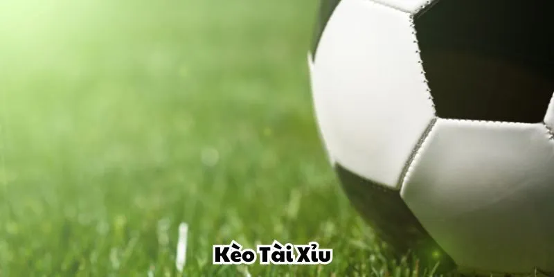 Tiết lộ bí quyết đọc kèo bóng đá Tài Xỉu ngon ăn nhất Tiết lộ bí quyết đọc kèo bóng đá Tài Xỉu ngon ăn nhất